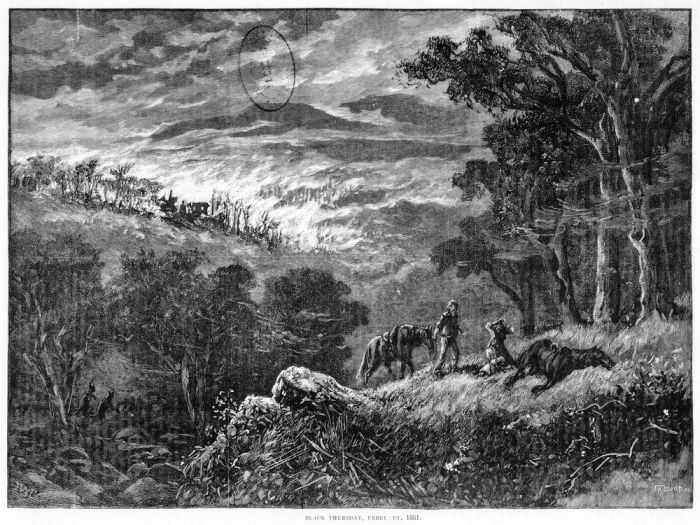 [Black Thursday, 6th February 1851]