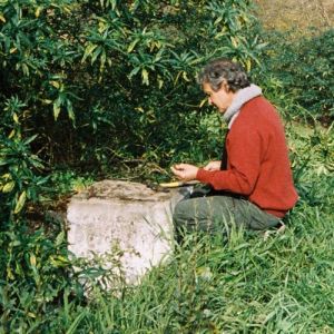 [Ian Hunter at Treaty Site]