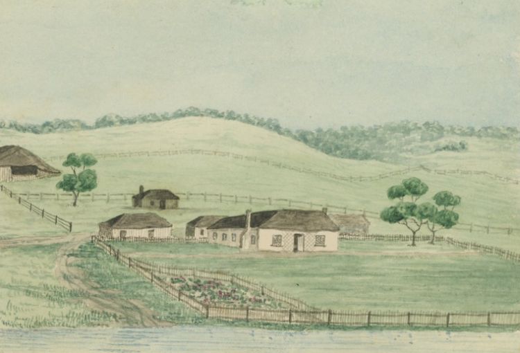 [Trawallo by Charles Norton]